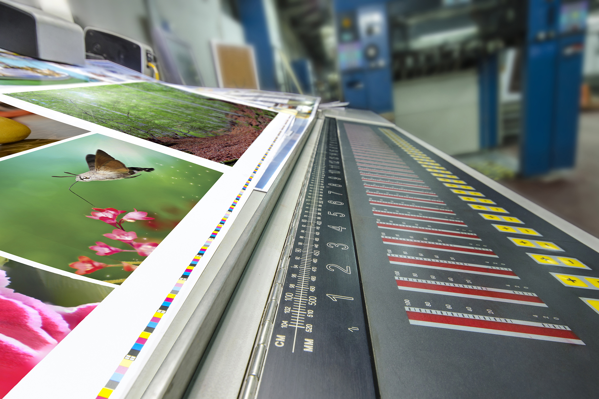 All Your Printing Needs